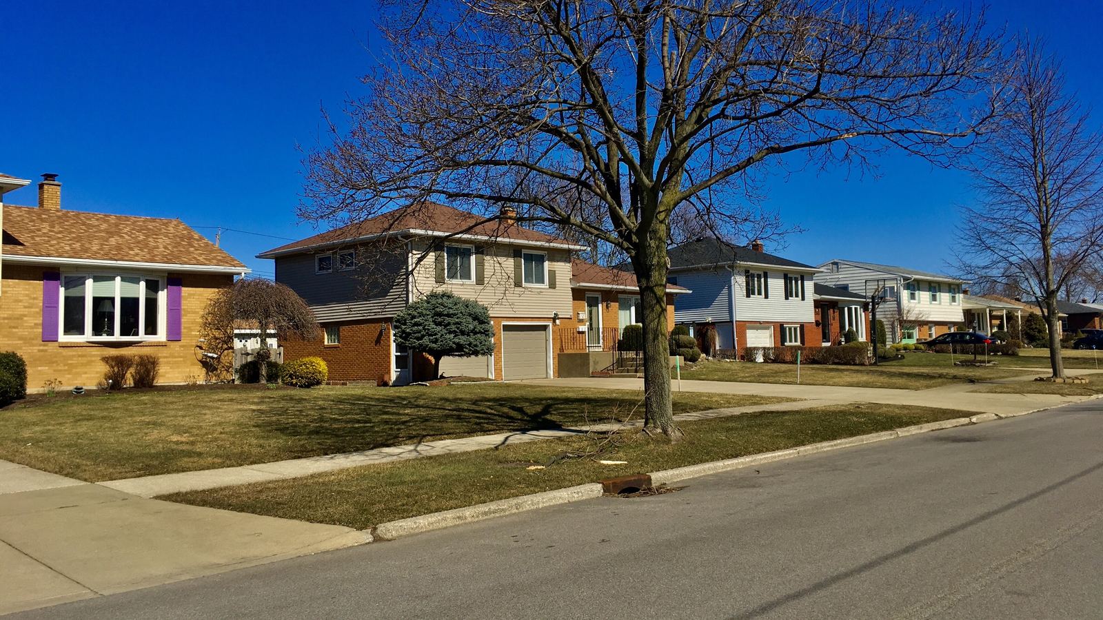 Split-level and ranch houses along a tree-lined suburban street