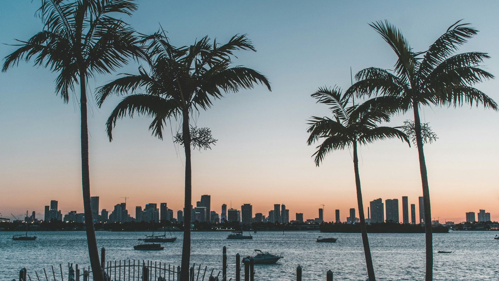Downtown Miami skyline across Biscayne Bay framed by palm trees